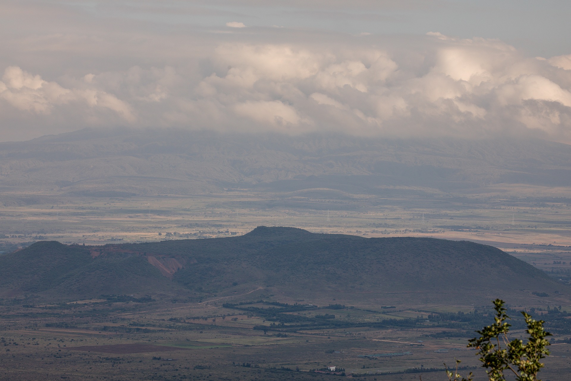 Masai mara landscape