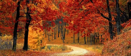 Herfstvakantie 2024