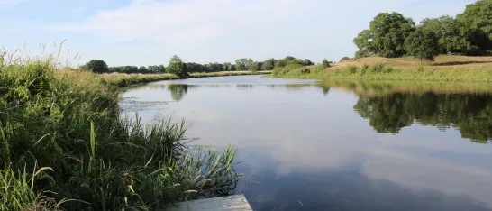 Beerze Bulten